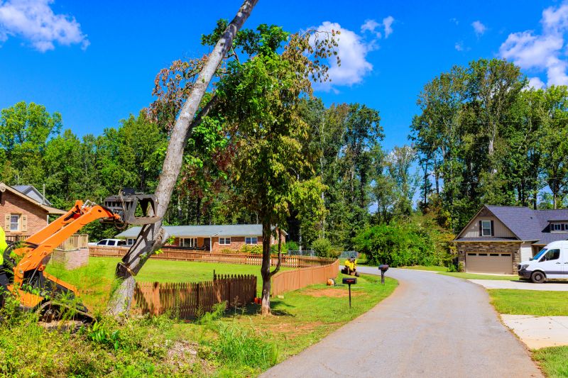 Residential Demolition